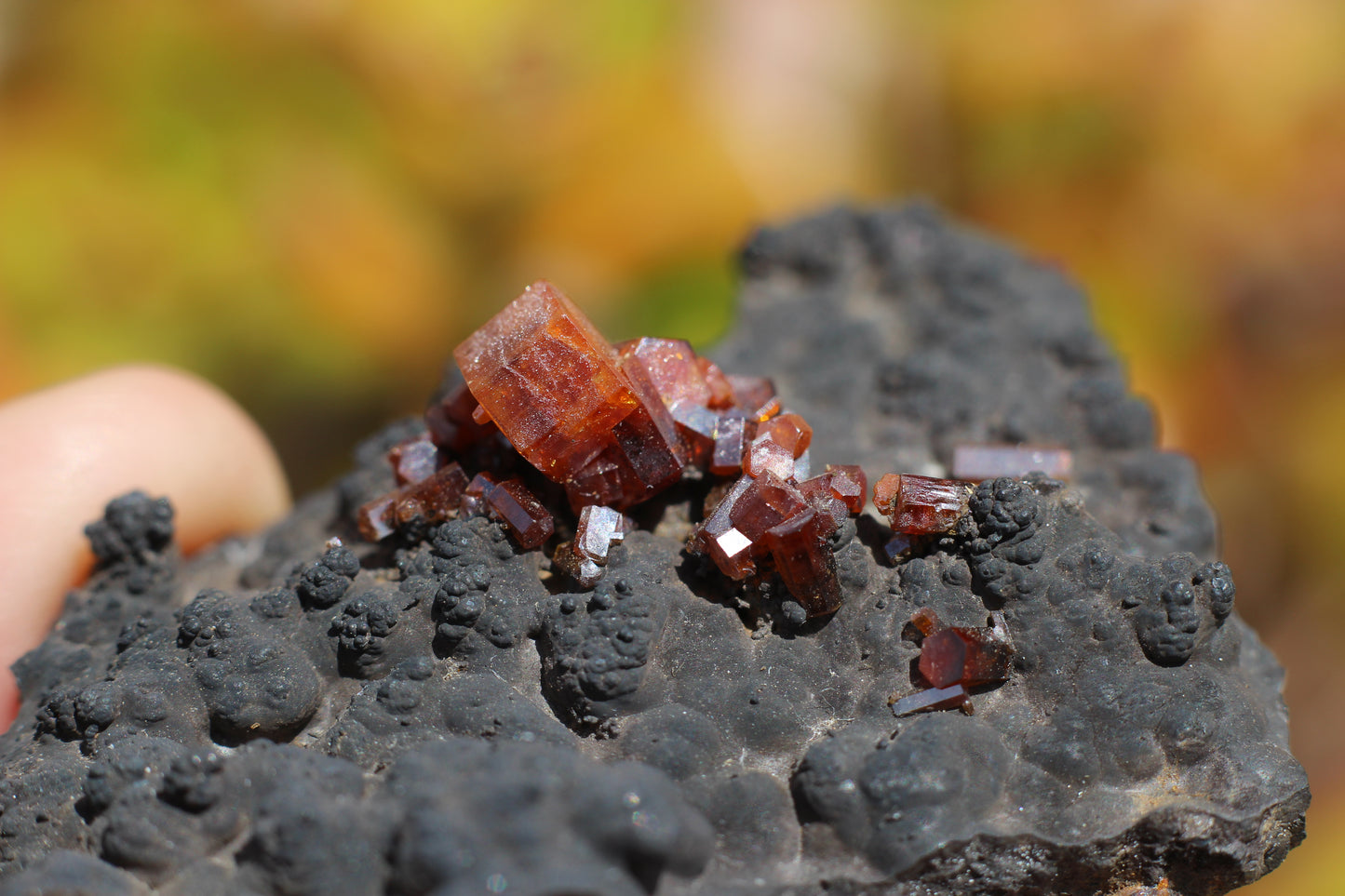 Vanadinite w/ Hollandite