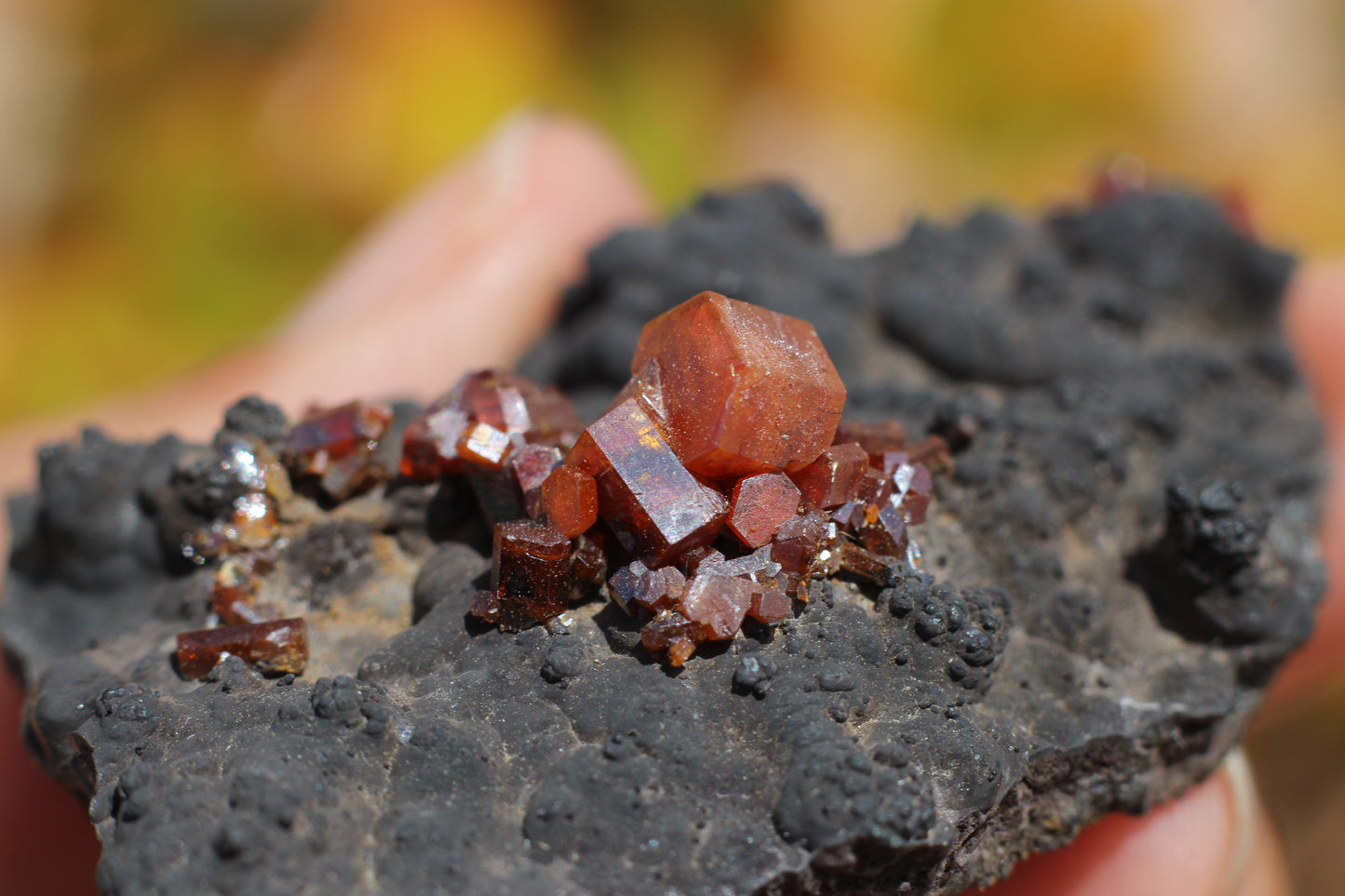 Vanadinite w/ Hollandite