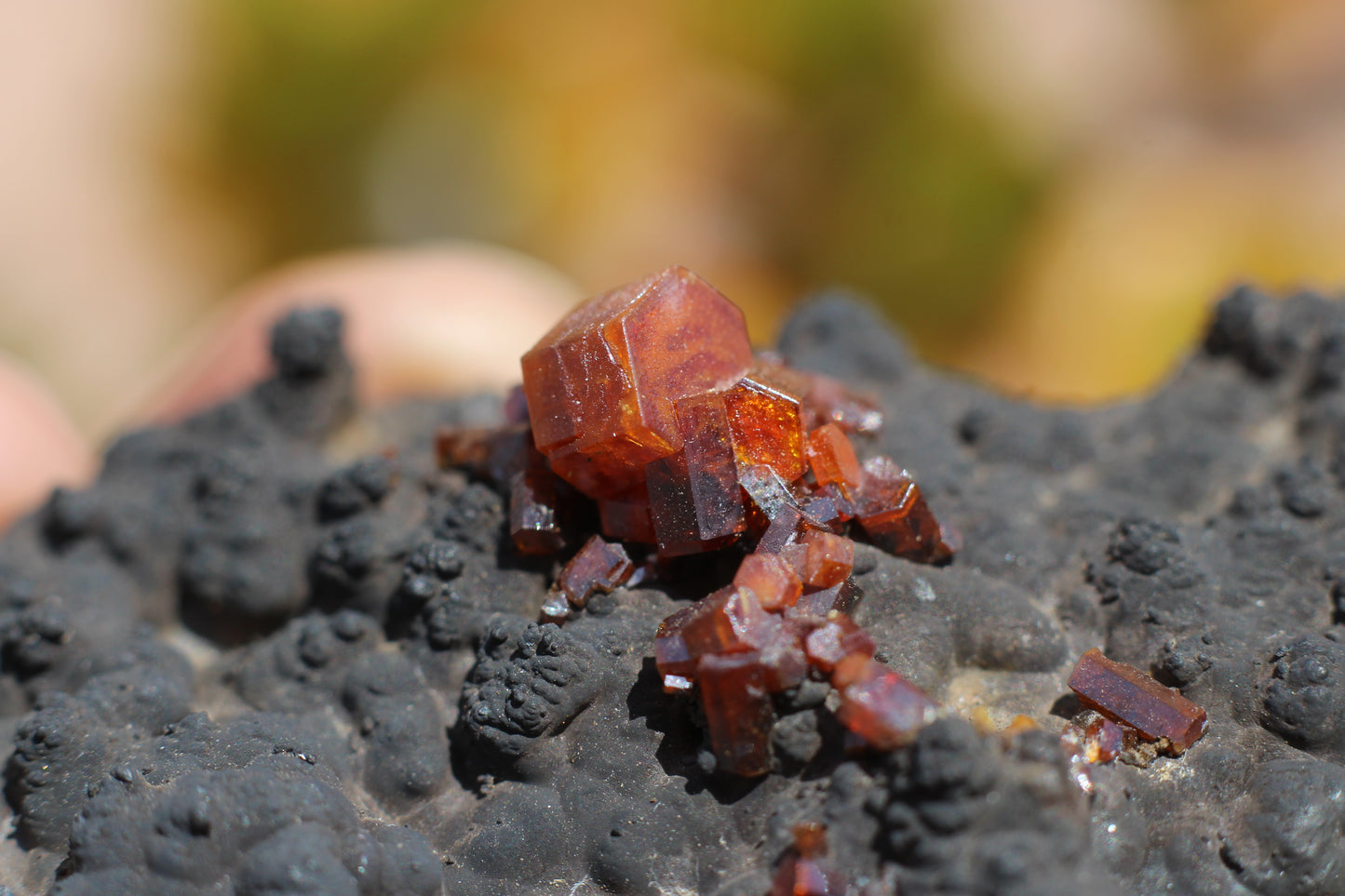 Vanadinite w/ Hollandite