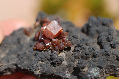 Vanadinite w/ Hollandite