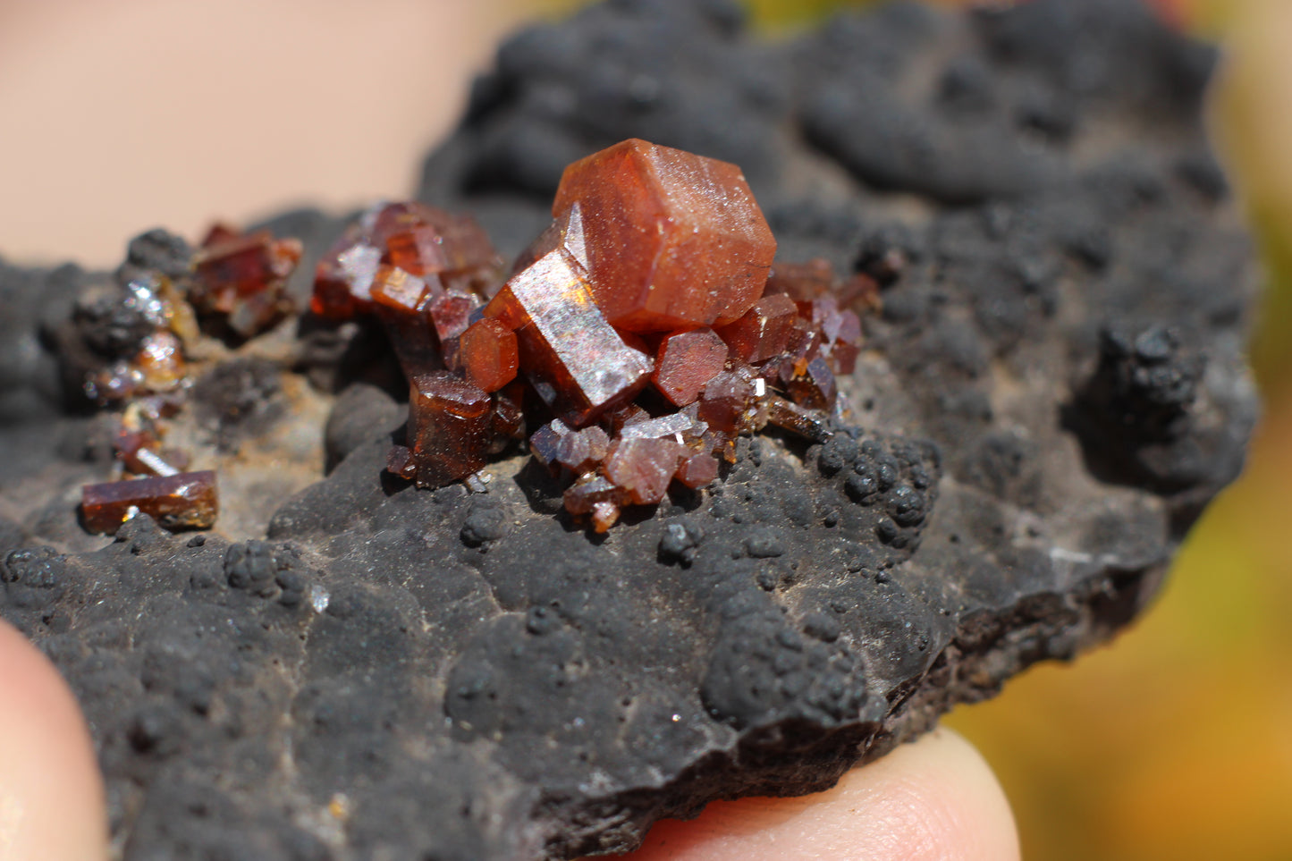 Vanadinite w/ Hollandite