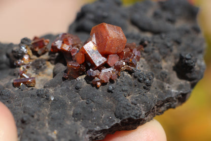 Vanadinite w/ Hollandite