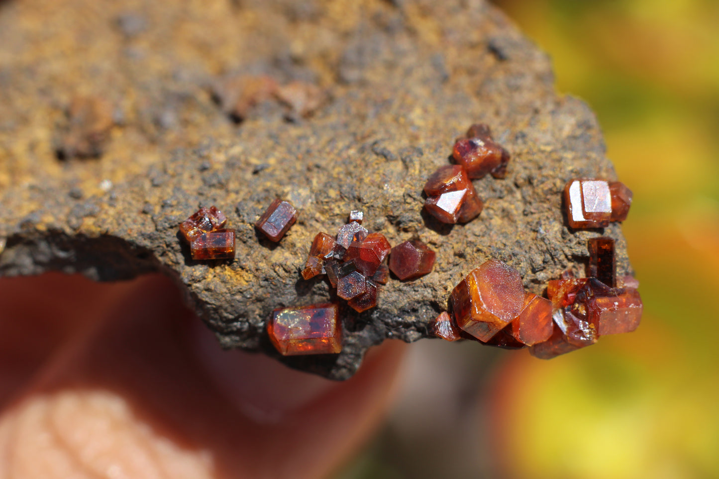 Vanadinite w/ Hollandite