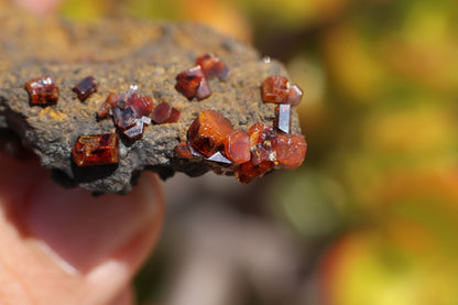 Vanadinite w/ Hollandite