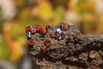 Vanadinite w/ Hollandite