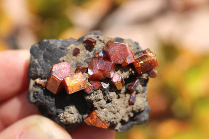 Vanadinite w/ Hollandite