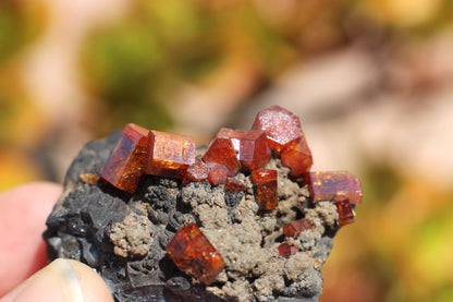 Vanadinite w/ Hollandite