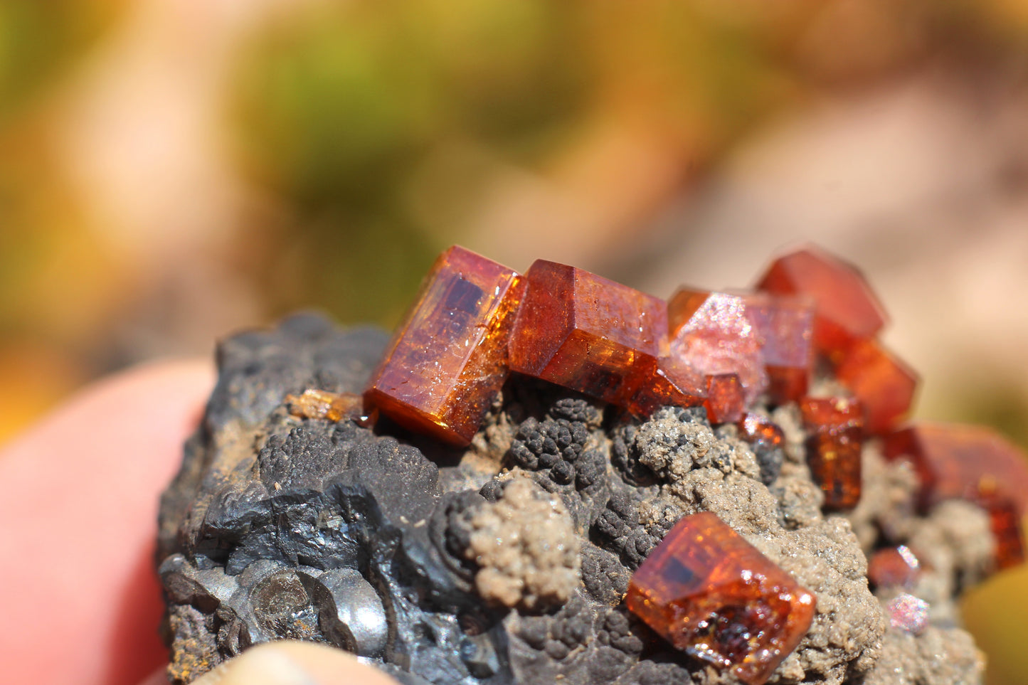 Vanadinite w/ Hollandite