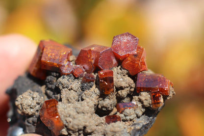 Vanadinite w/ Hollandite