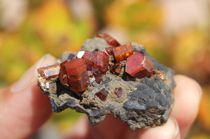 Vanadinite w/ Hollandite