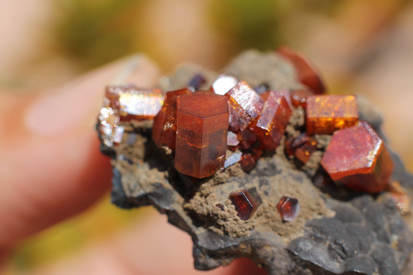 Vanadinite w/ Hollandite