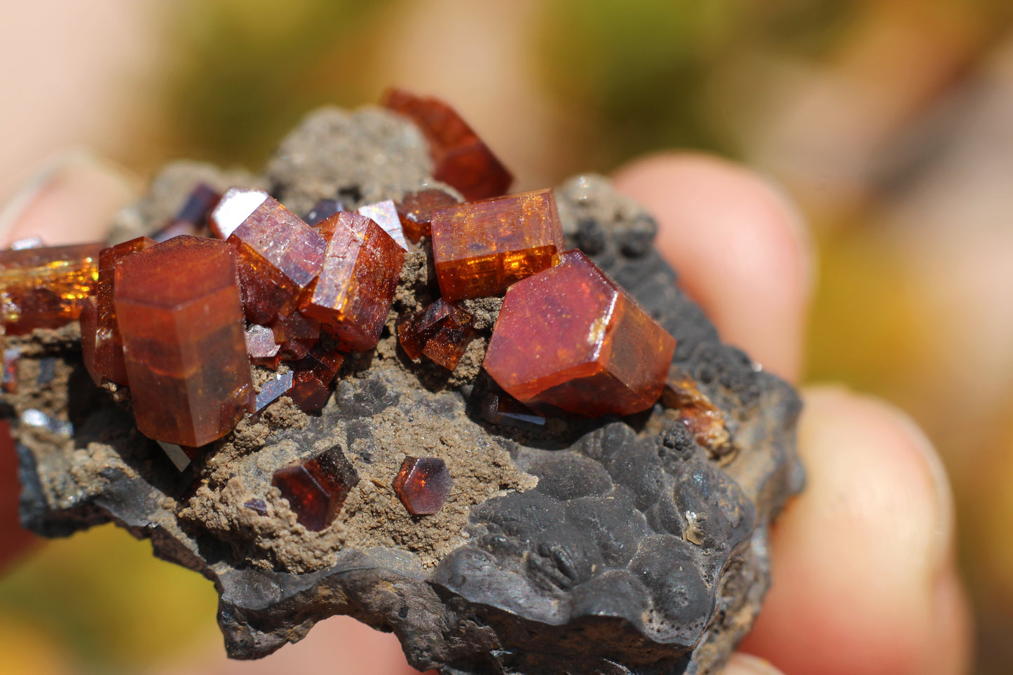 Vanadinite w/ Hollandite