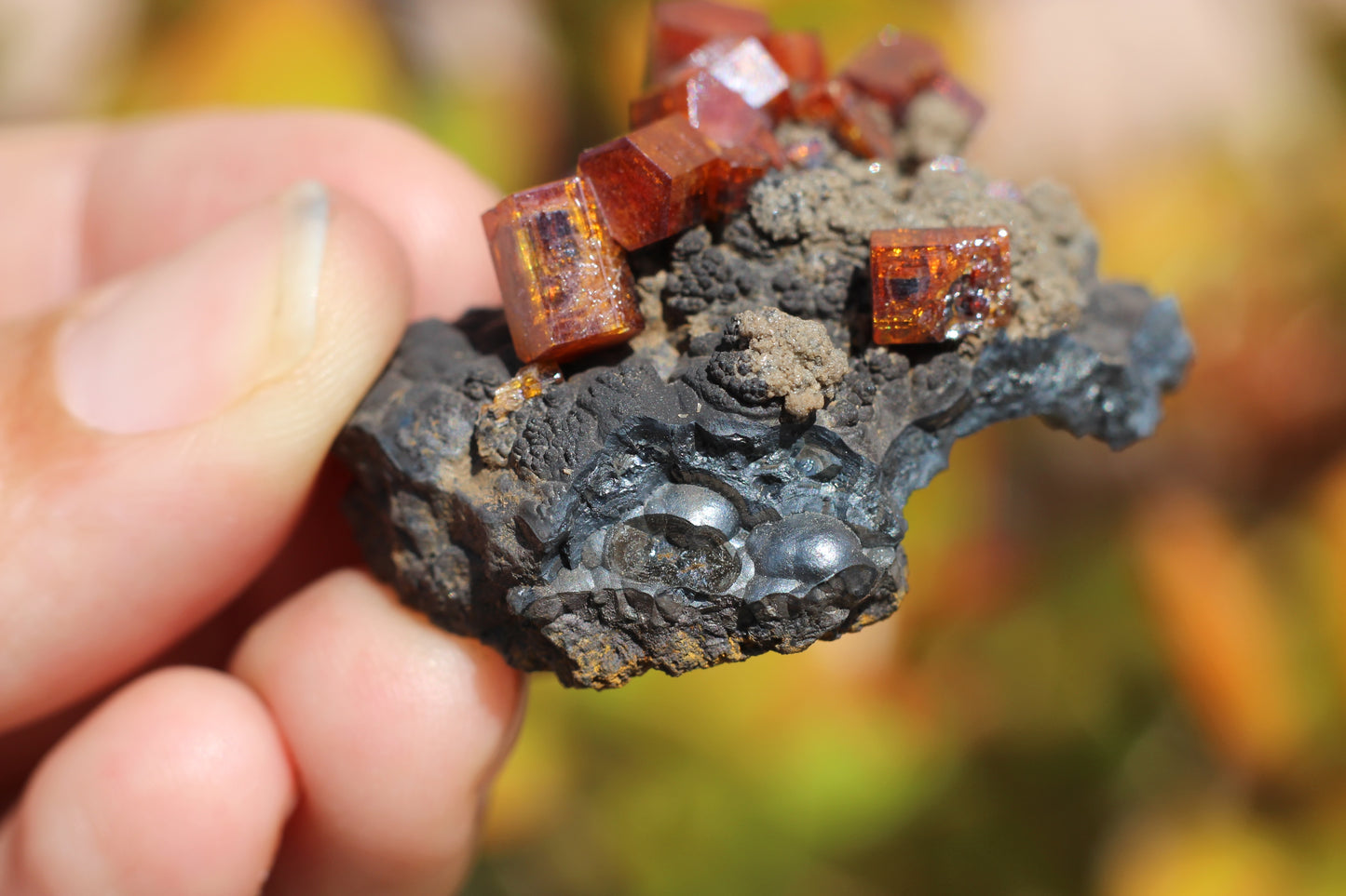 Vanadinite w/ Hollandite