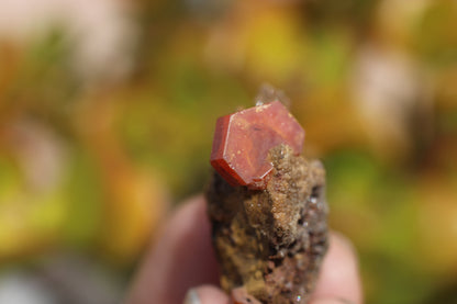 Vanadinite w/ Hollandite