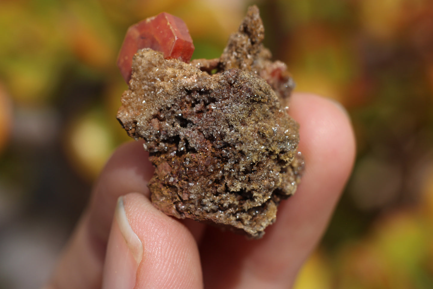 Vanadinite w/ Hollandite