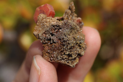 Vanadinite w/ Hollandite