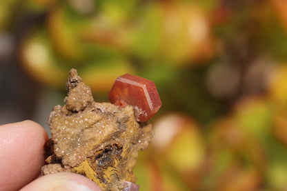 Vanadinite w/ Hollandite