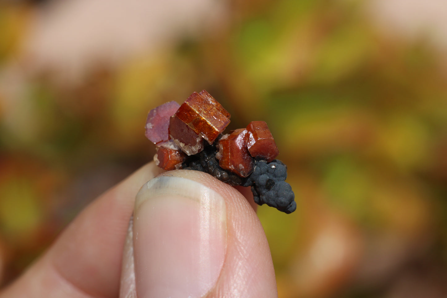 Vanadinite w/ Hollandite