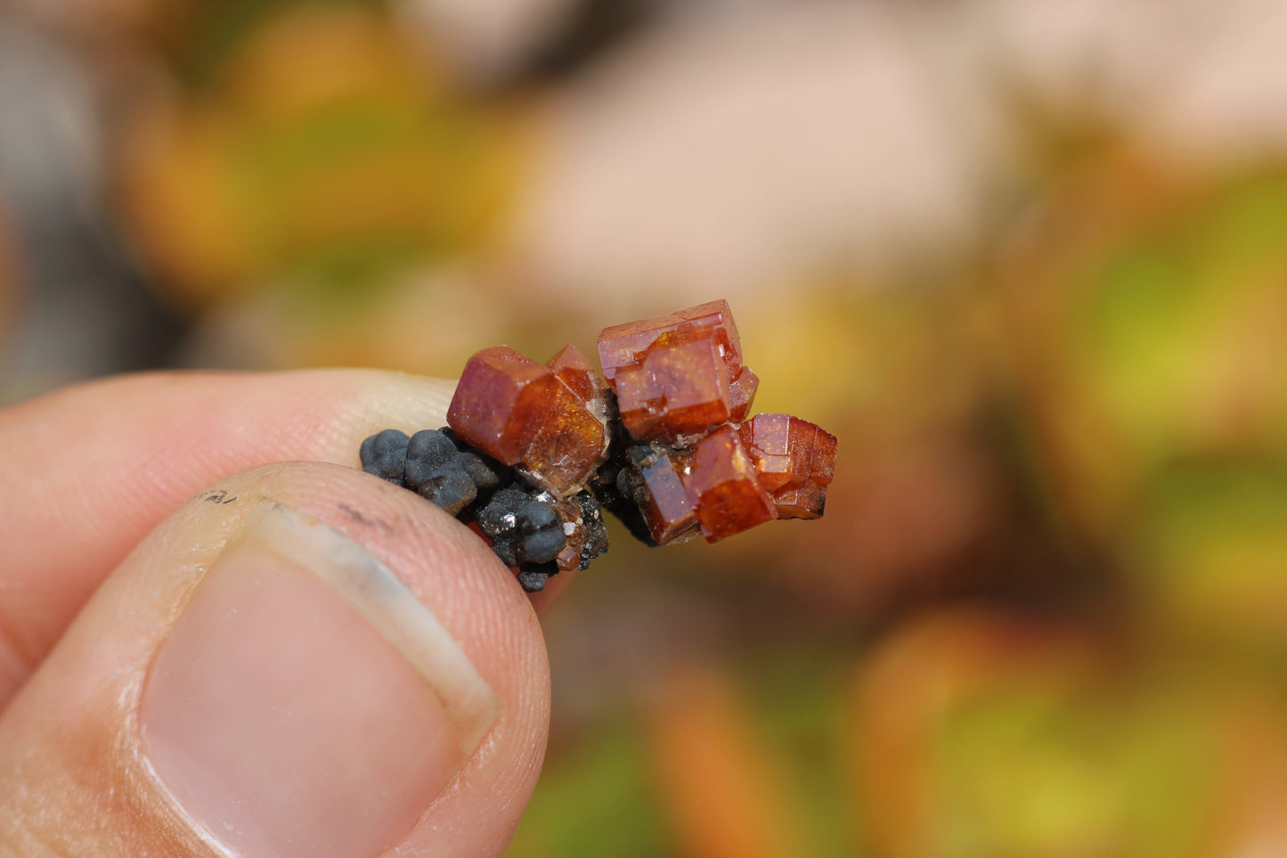 Vanadinite w/ Hollandite