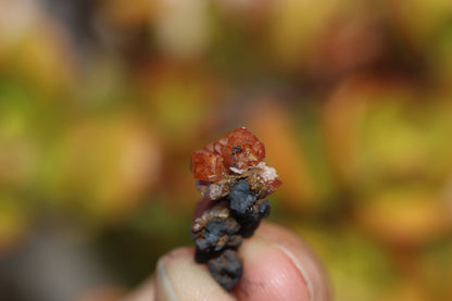 Vanadinite w/ Hollandite