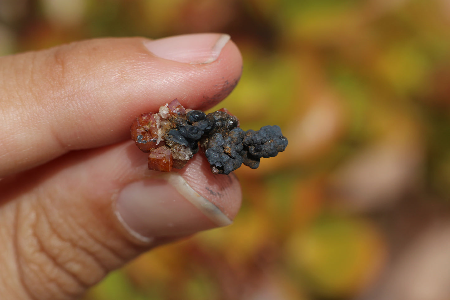 Vanadinite w/ Hollandite