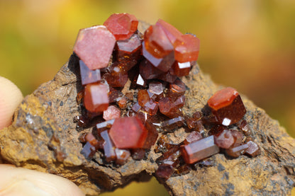 Vanadinite w/ Hollandite