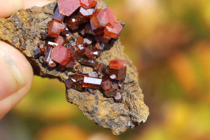 Vanadinite w/ Hollandite