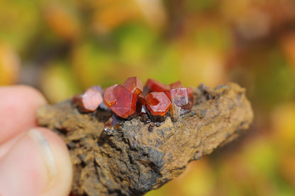 Vanadinite w/ Hollandite