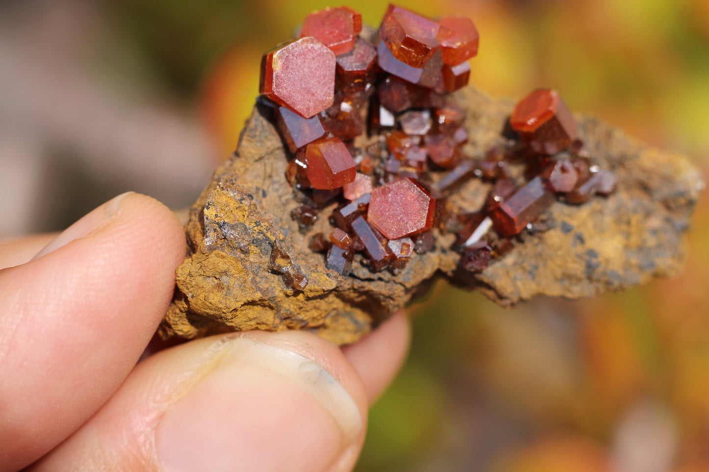 Vanadinite w/ Hollandite