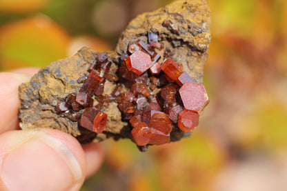 Vanadinite w/ Hollandite