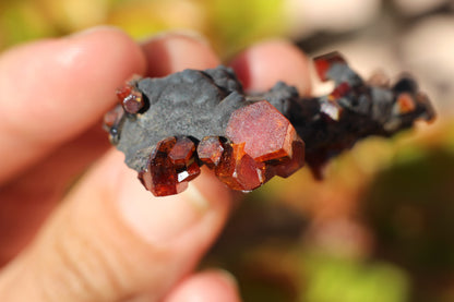 Vanadinite w/ Manganese Oxide