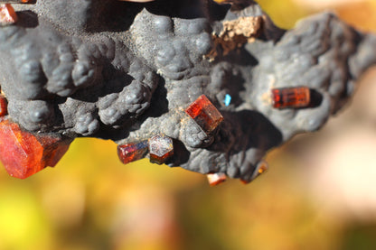 Vanadinite w/ Manganese Oxide