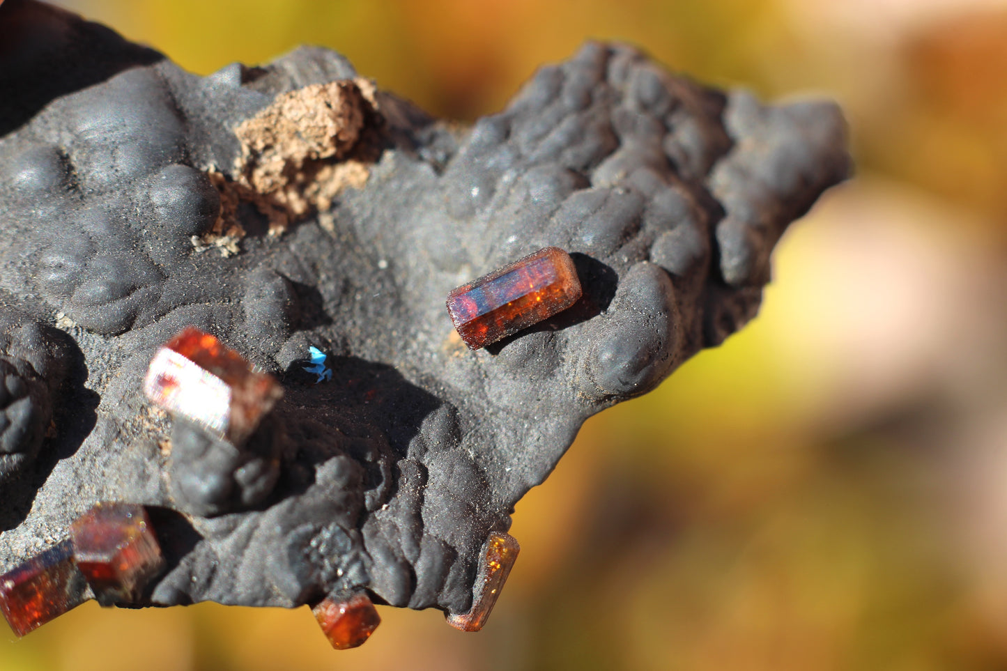 Vanadinite w/ Manganese Oxide