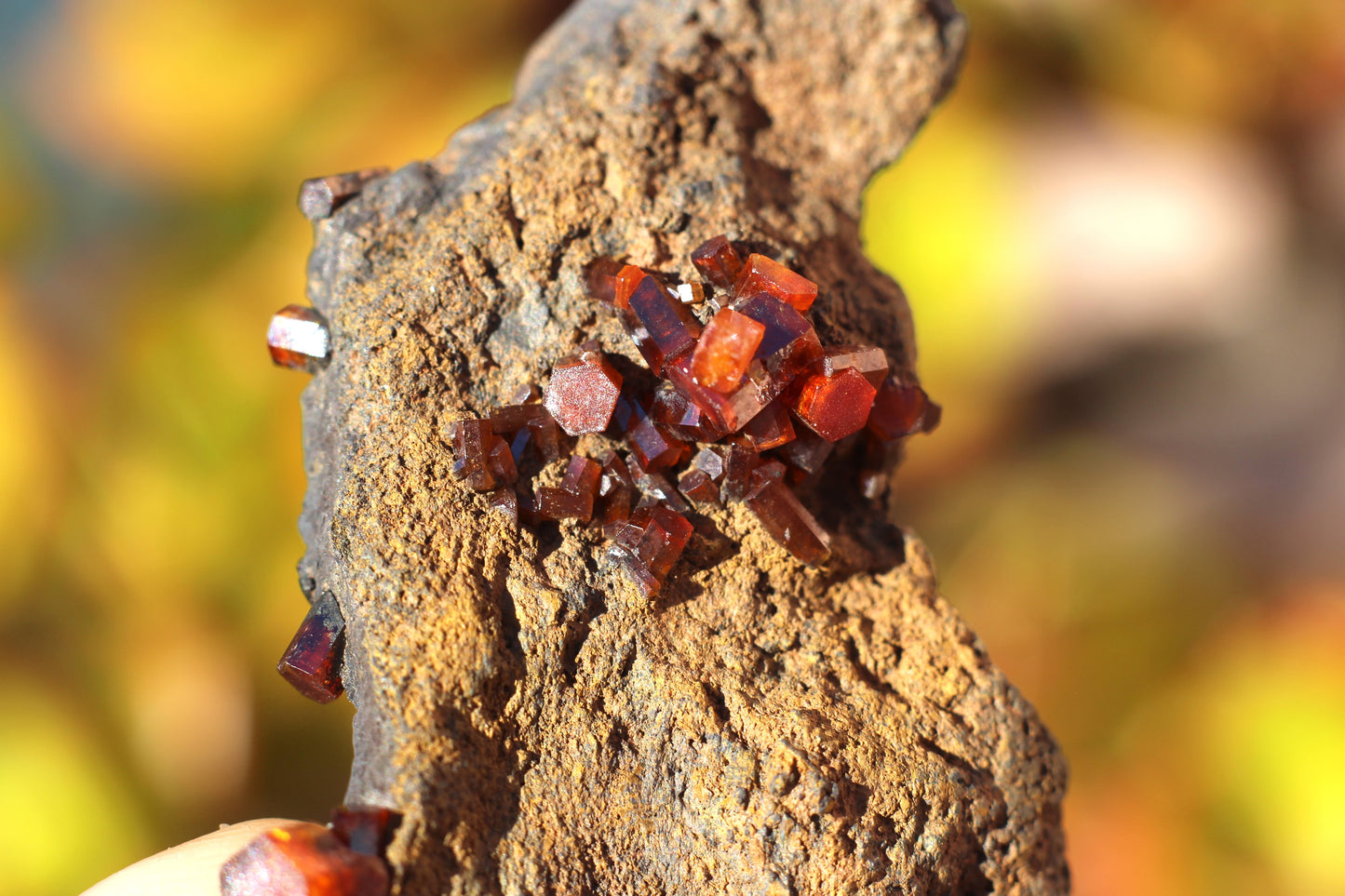 Vanadinite w/ Manganese Oxide