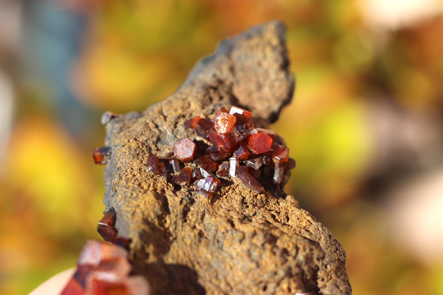 Vanadinite w/ Manganese Oxide