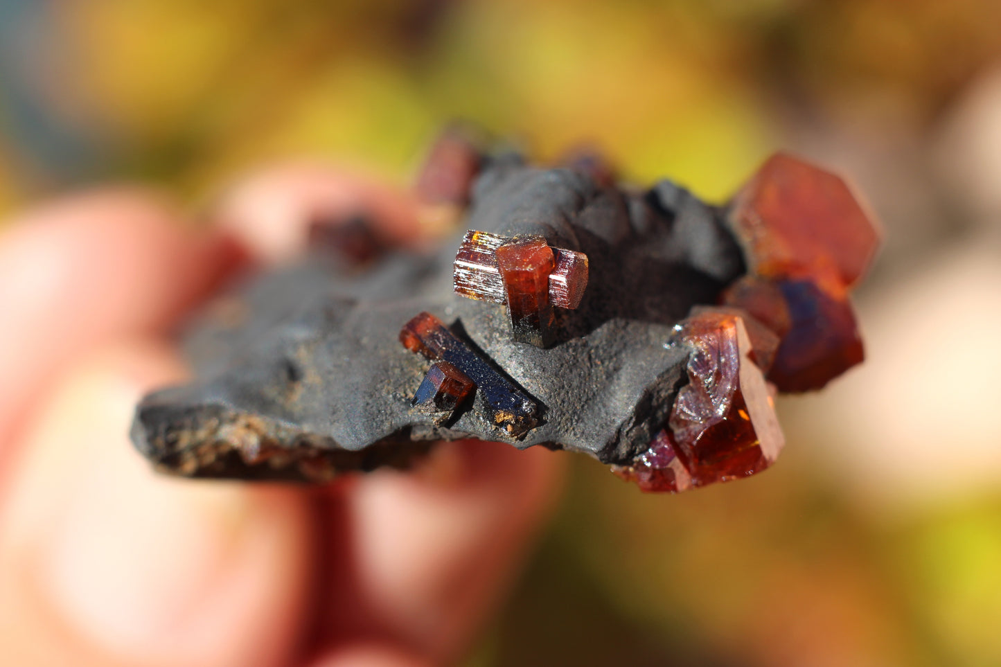 Vanadinite w/ Manganese Oxide