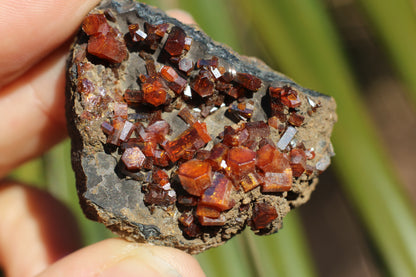 Vanadinite w/ Manganese Oxide