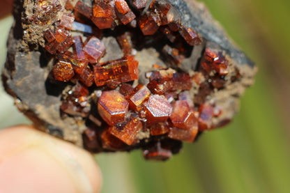 Vanadinite w/ Manganese Oxide