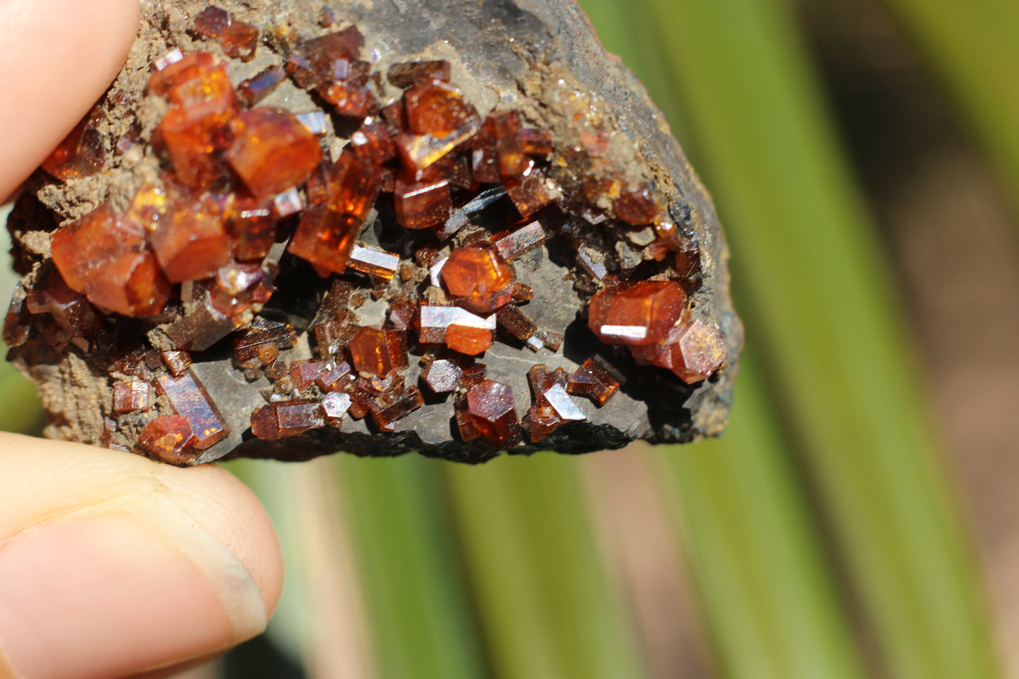 Vanadinite w/ Manganese Oxide