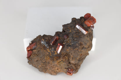 Vanadinite w/ Manganese Oxide