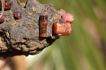 Vanadinite w/ Manganese Oxide