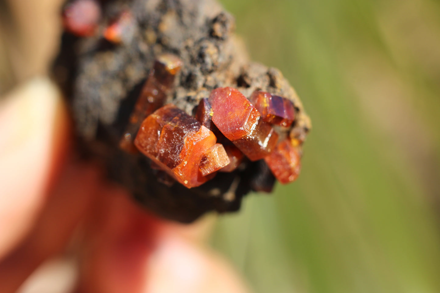 Vanadinite w/ Manganese Oxide