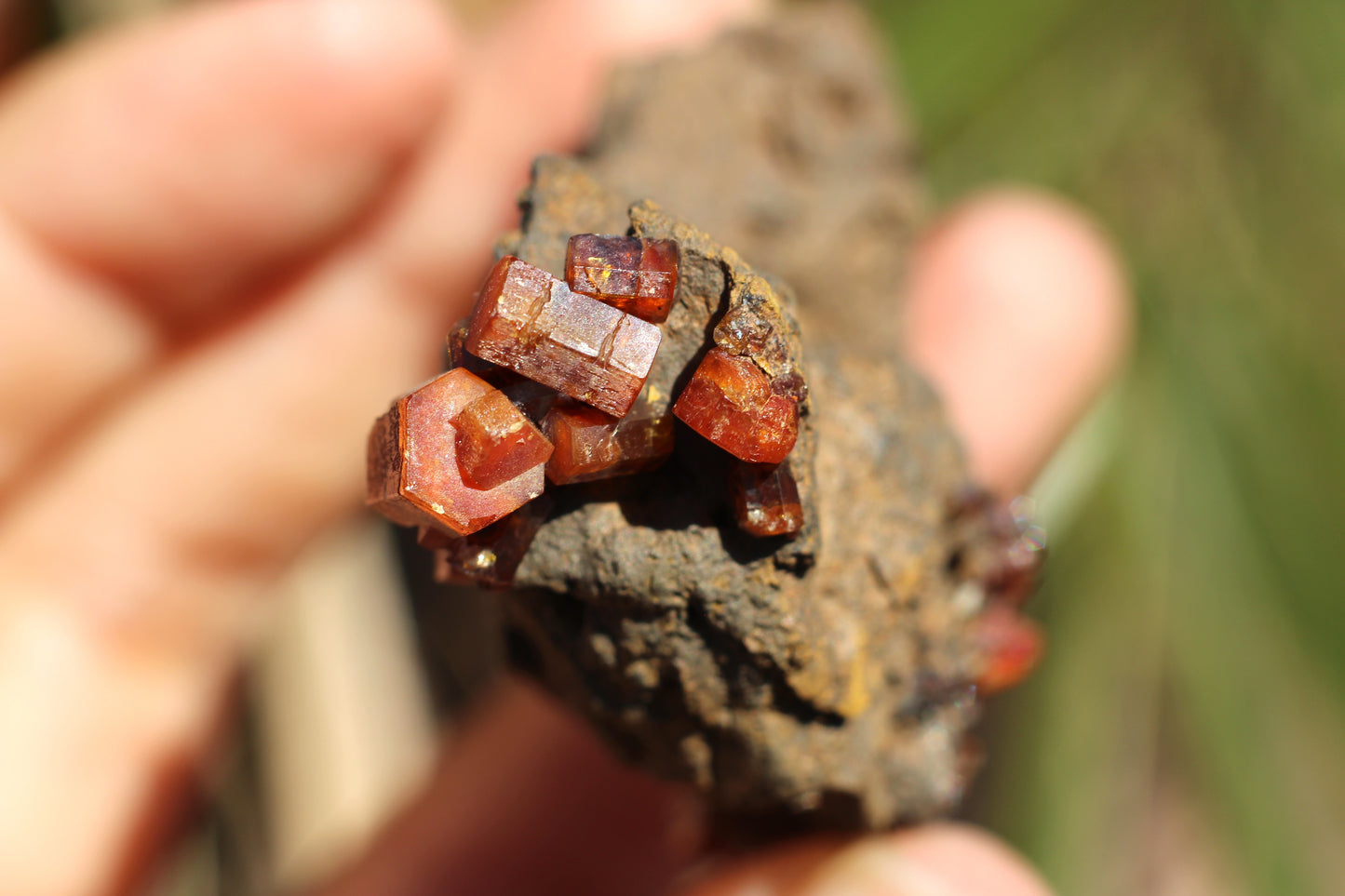 Vanadinite w/ Manganese Oxide