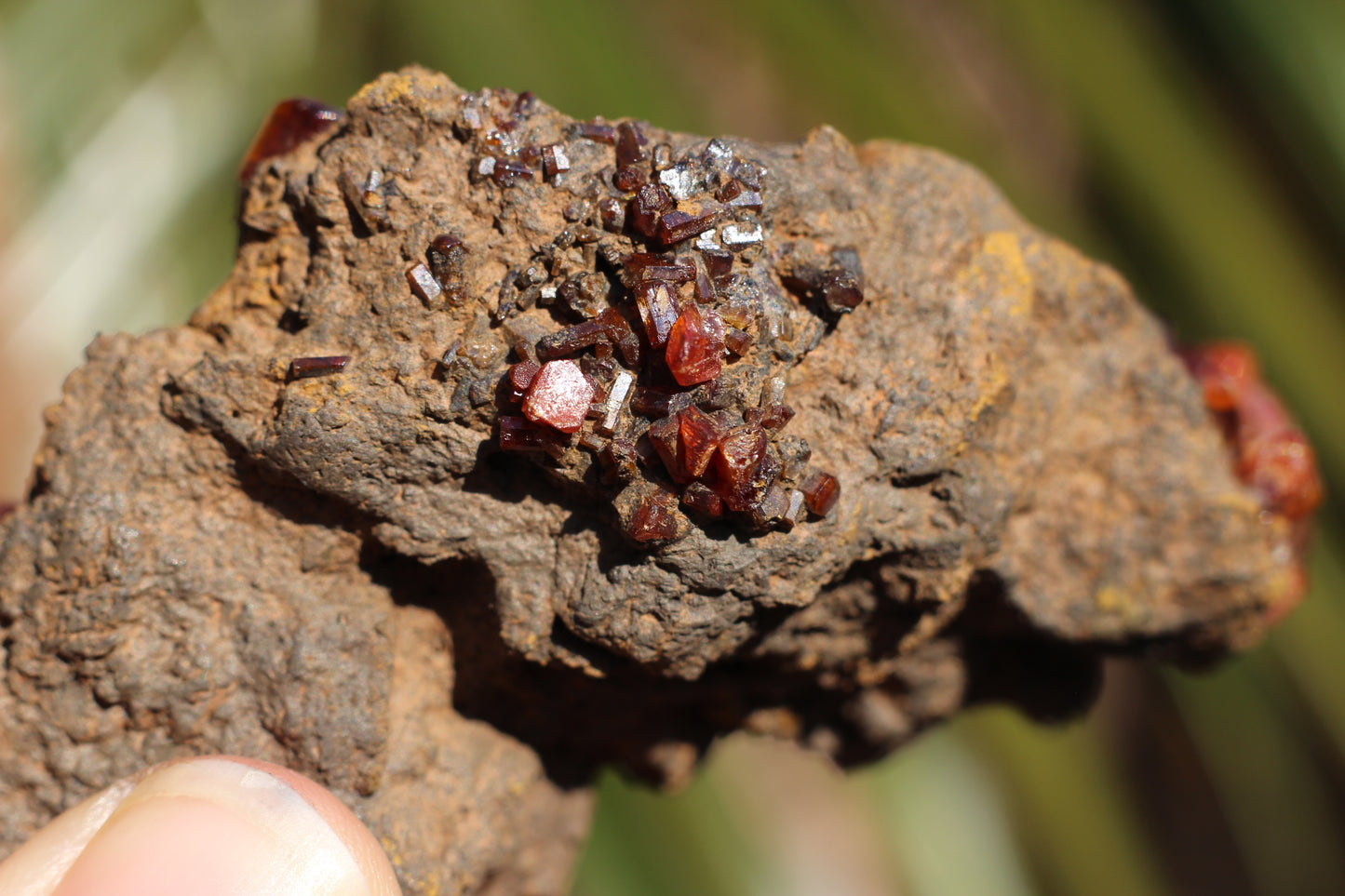 Vanadinite w/ Manganese Oxide