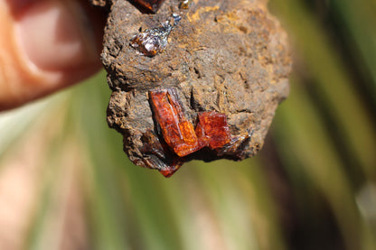 Vanadinite w/ Manganese Oxide