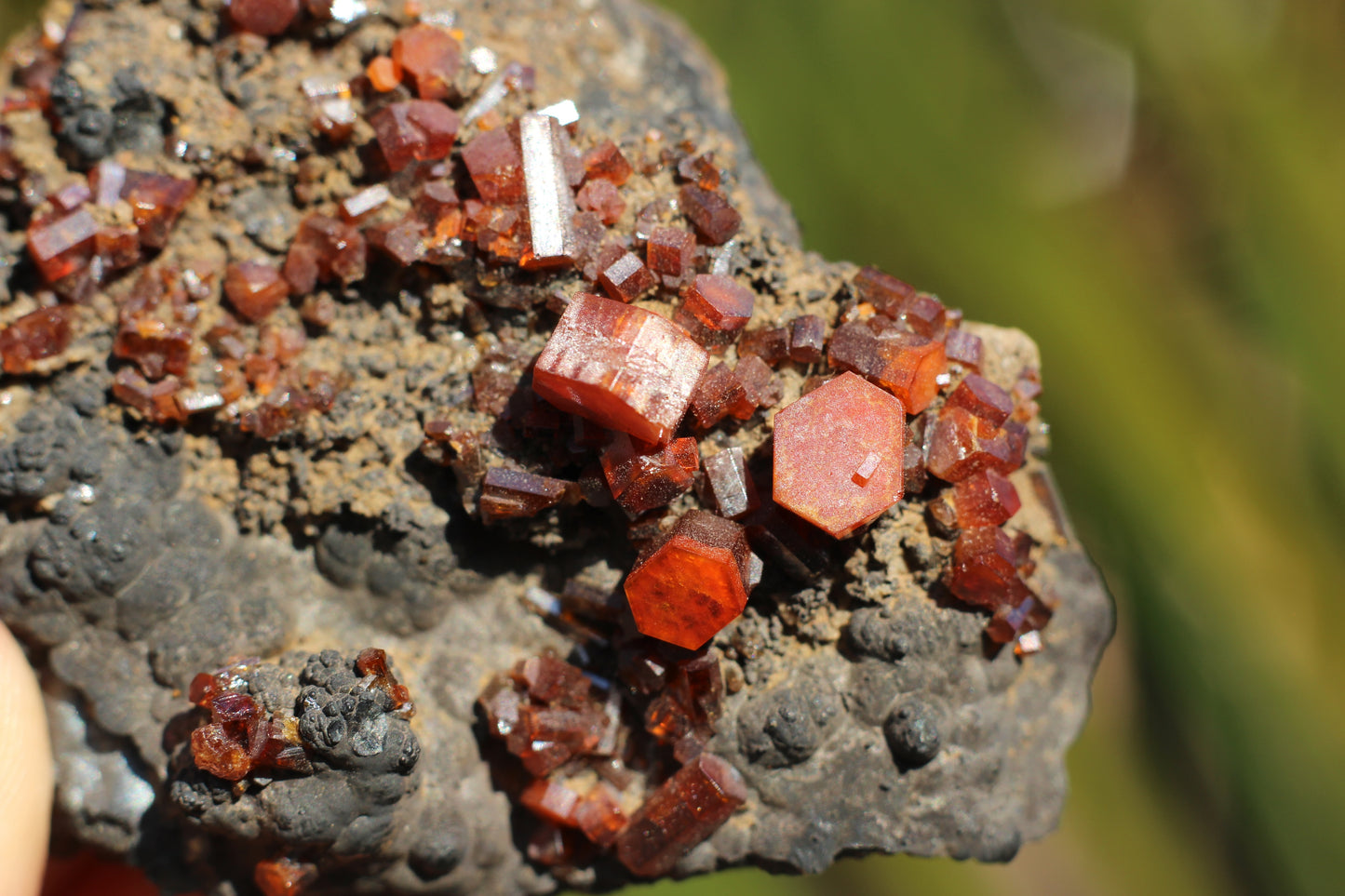 Vanadinite w/ Manganese Oxide