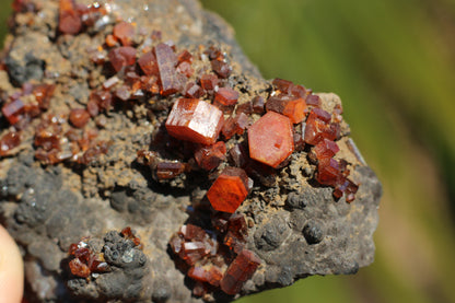 Vanadinite w/ Manganese Oxide