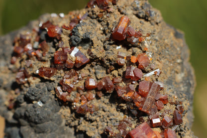 Vanadinite w/ Manganese Oxide