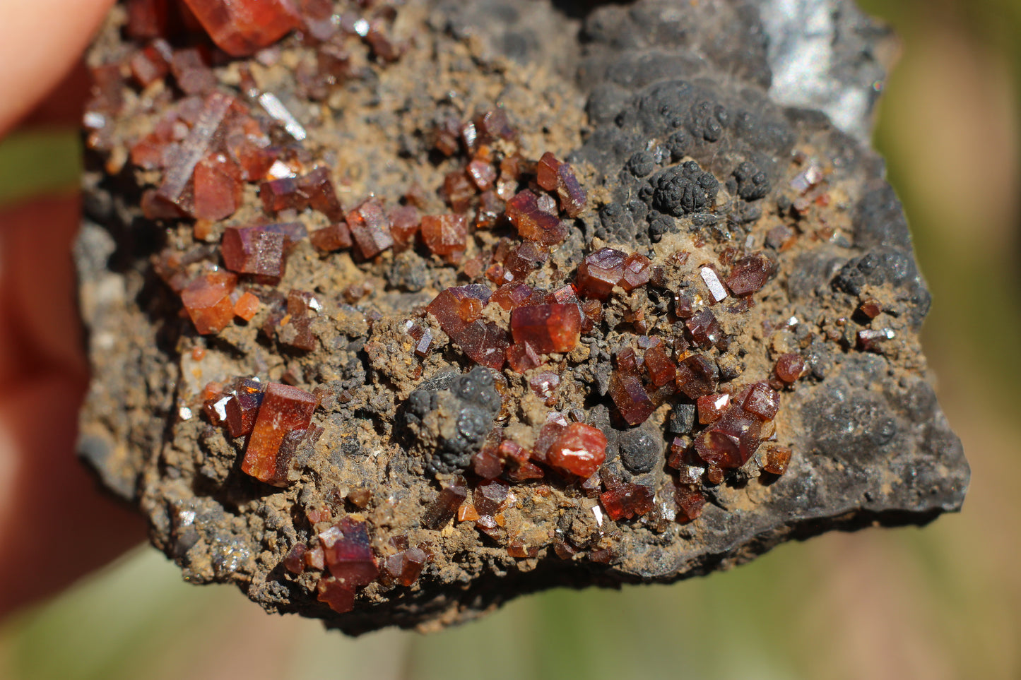 Vanadinite w/ Manganese Oxide