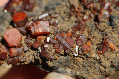 Vanadinite w/ Manganese Oxide